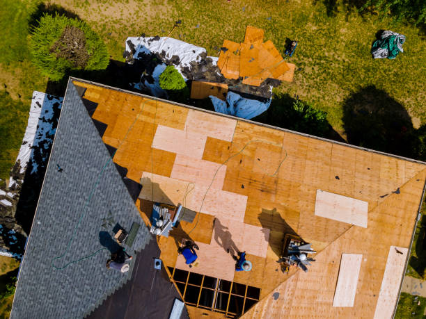 Best Roof Maintenance Services  in Crockett, CA
